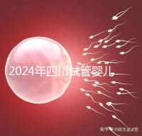 2024年四川試管嬰兒補(bǔ)貼比例不低,符合懷孕補(bǔ)貼條件的前提