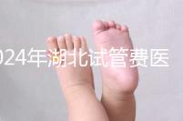 2024年湖北試管費醫療保險可以報銷？專家：時間還沒到？