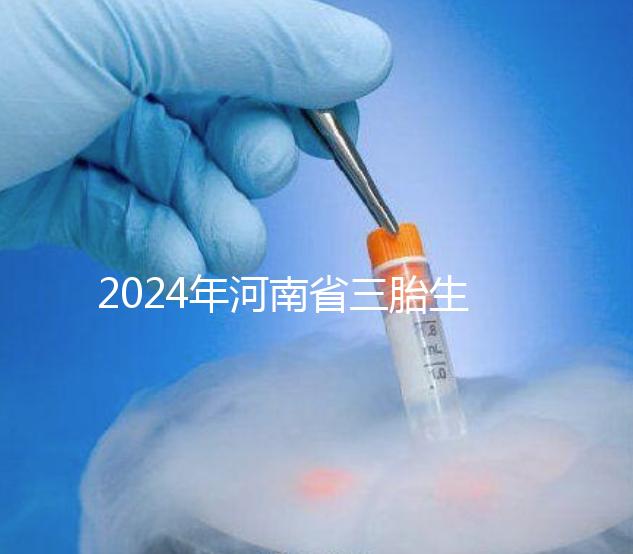 2024年河南省三胎生育津貼發(fā)生變化！南陽(yáng)和信陽(yáng)最高獎(jiǎng)勵(lì)20萬(wàn)！