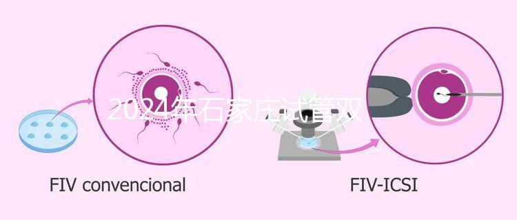 2024年石家莊試管雙胞胎醫(yī)院排名，不要錯過新華、長安