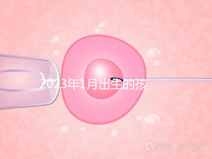 2023年1月出生的孩子取名宜忌要早知,星座、屬相均有講究