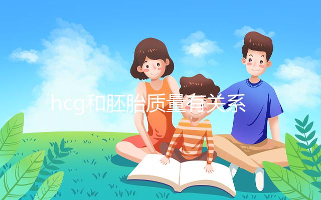 hcg和胚胎質量有關系？hcg低并不一定是胚胎不好！