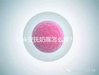 nuk安撫奶嘴怎么樣?4大系列總會有適合你的